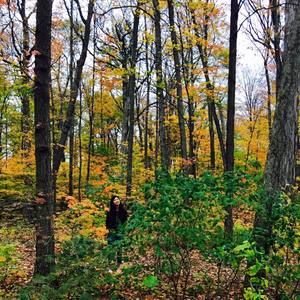 Meet your Posher, Monica